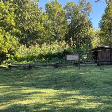 A lush green farm area with a wooden fence and a small barn under blue sky.