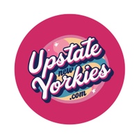Upstate NEW YORKies
