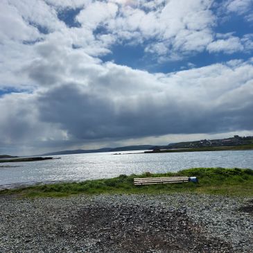 A tranquil lakeside with a cloudy sky.