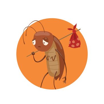 Pest control Woodburn and Salem Oregon 