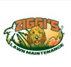 Ziggi's Lawn Maintenance