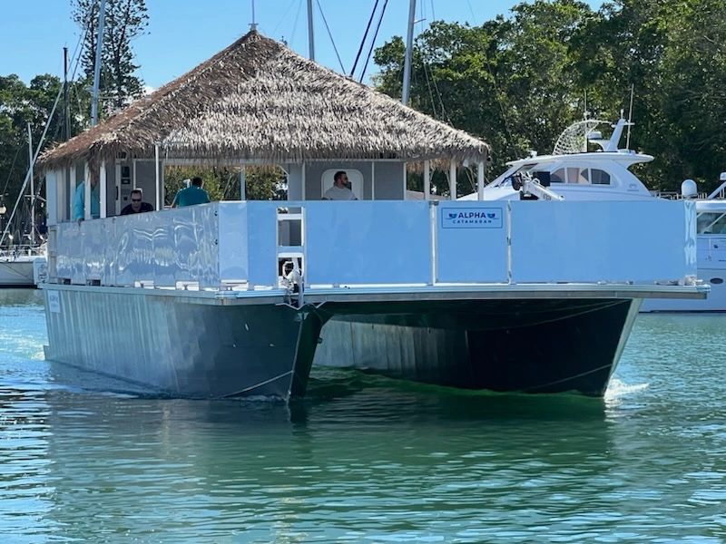 alpha catamaran for sale