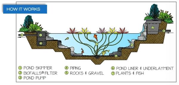 Aquascape Pond Diagram