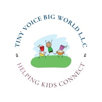 Tiny Voice, Big World, LLC
Helping Kids Connect