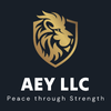 AEY LLC Global Defense Consulting Business