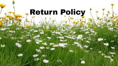 Colorful field of yellow and white flowers with 'Return Policy' text.