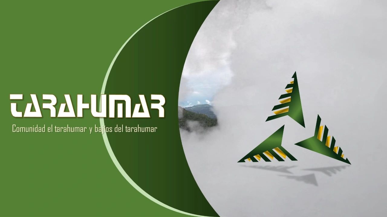 https://img1.wsimg.com/isteam/ip/19e69338-9358-4b74-aaea-60068ad809b5/thumbnails/thumbnail-a580df30-59cc-4c7e-8985-d3e06c00e701.png