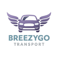 BreezyGo LLC
