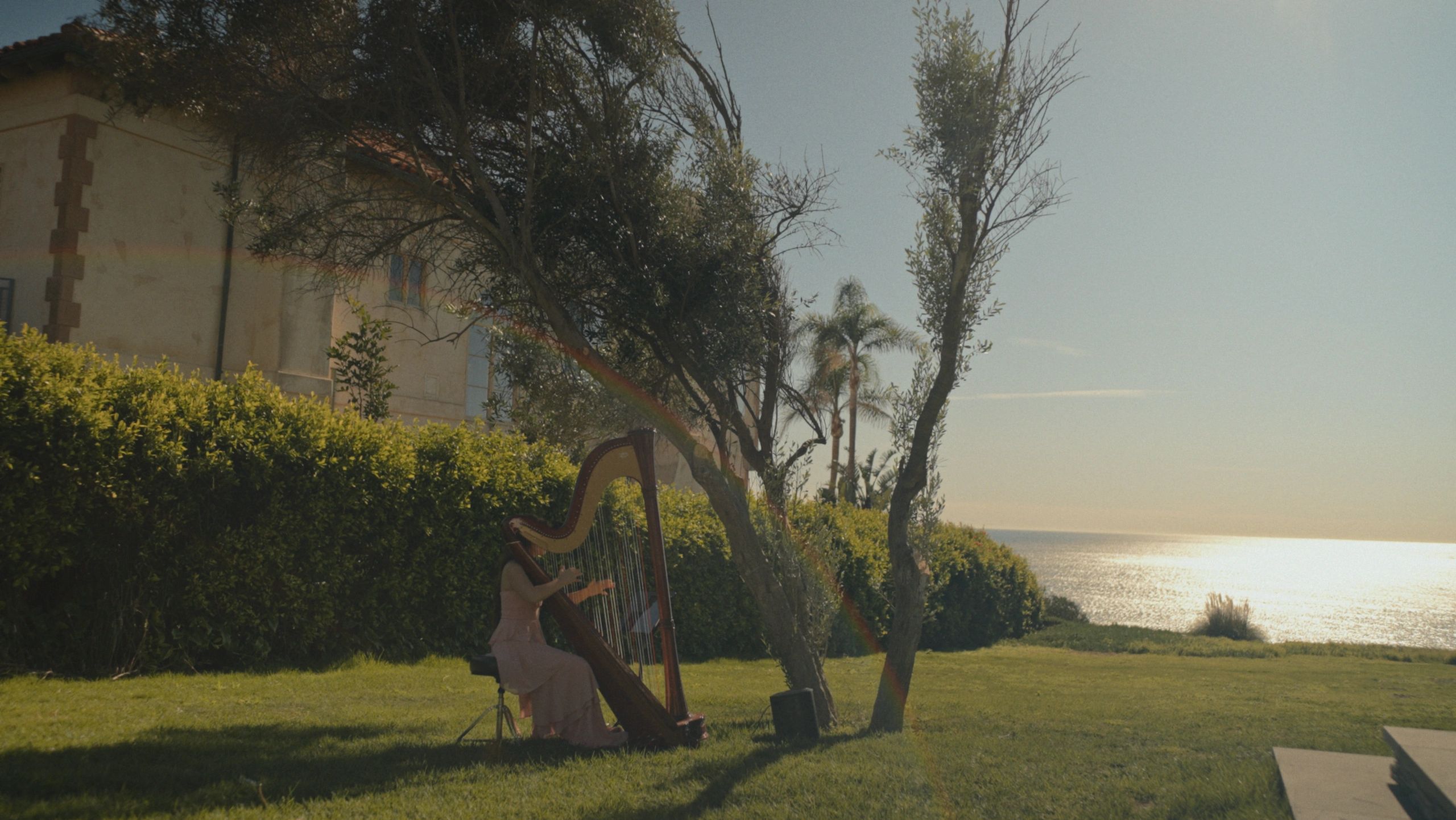 Photographer: Daryoush Rahimi | Wedding Videographer