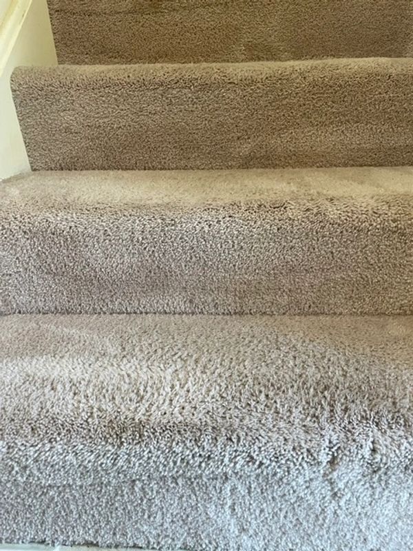 Steps After Cleaned
