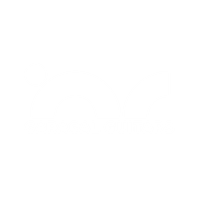 Caracal Guitars