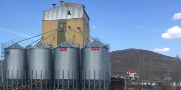 Dört büyük metal silo ve arka planda sarı bina.