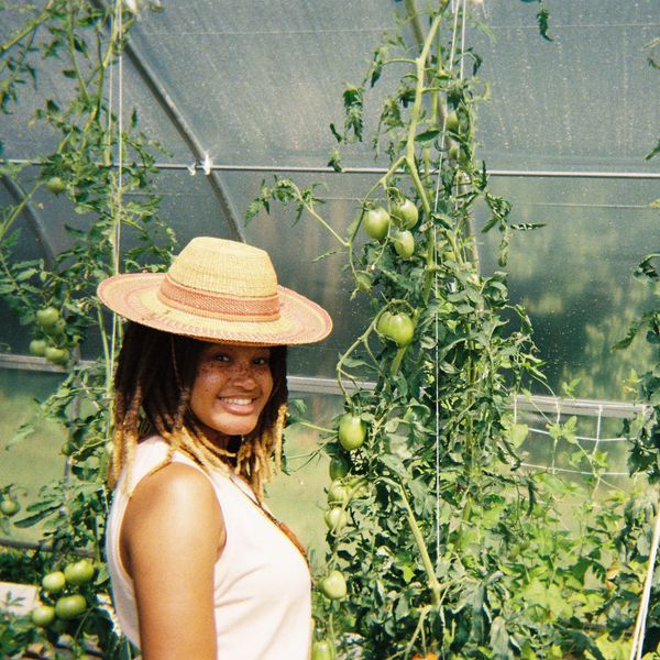 Ayanna Burroughs, owner of June Apple Nursery, standing next to tomatoes in a high tunnel.
