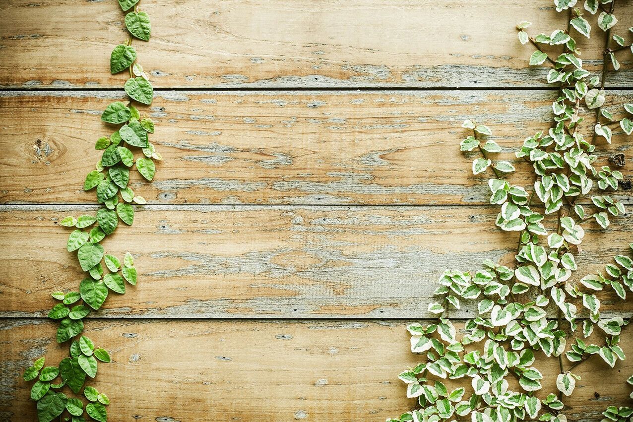 Twisted Vine Winery hero image