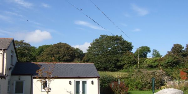 The Annexe and on the overhead lines swallows are gathering in preparation to fly off . 