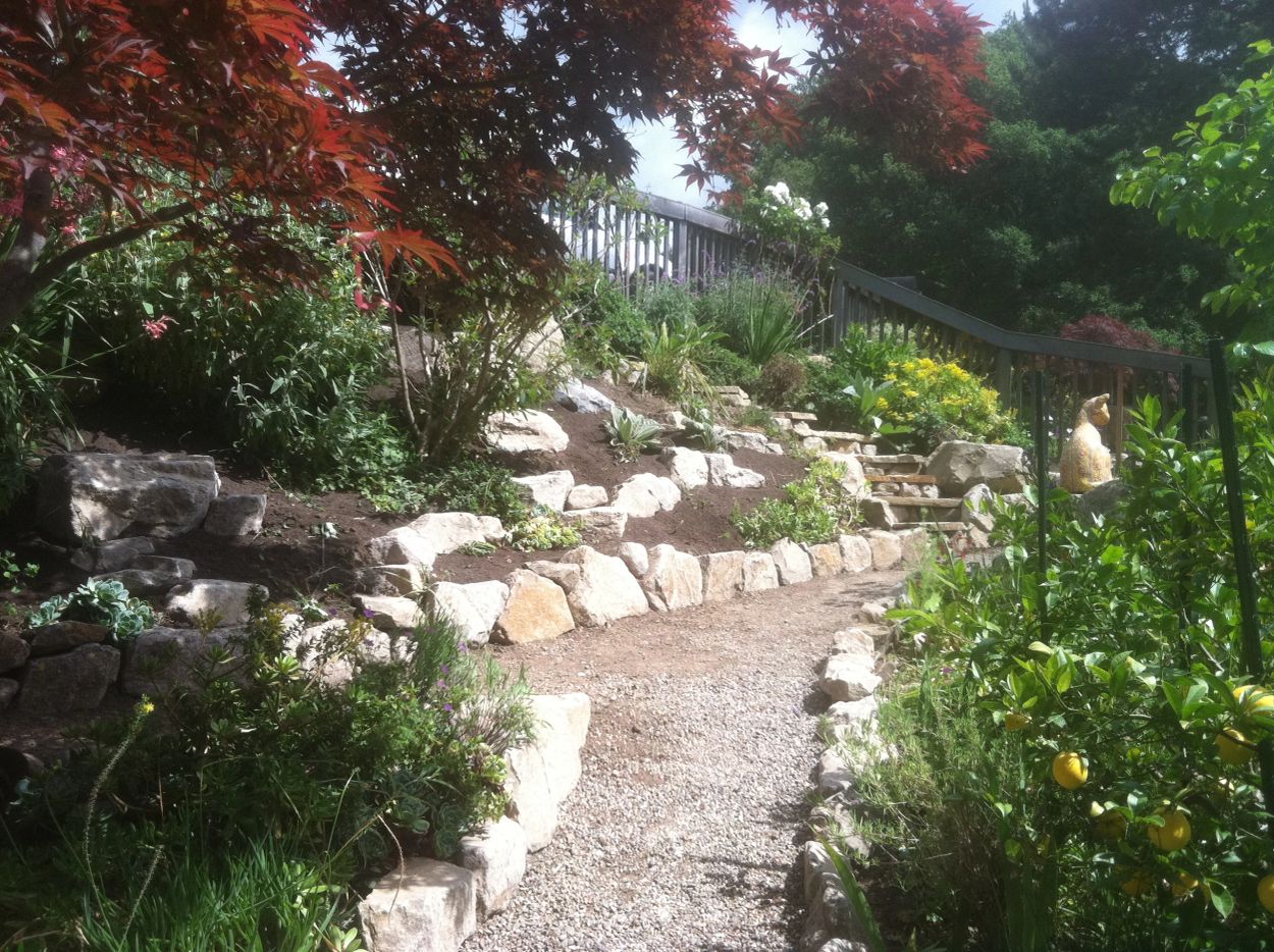 Sunny garden path with stone edging and lush plants.
