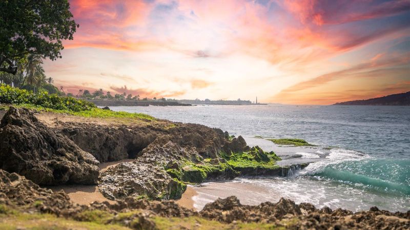 Pink Hour Coast