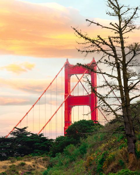 Golden Gate