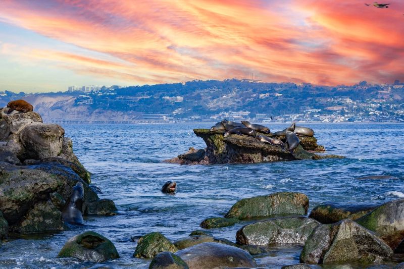 La Jolla Dusk