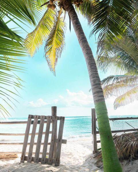 Cozumel Light