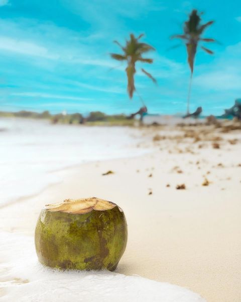 Island Still Life