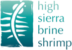High Sierra Brine Shrimp