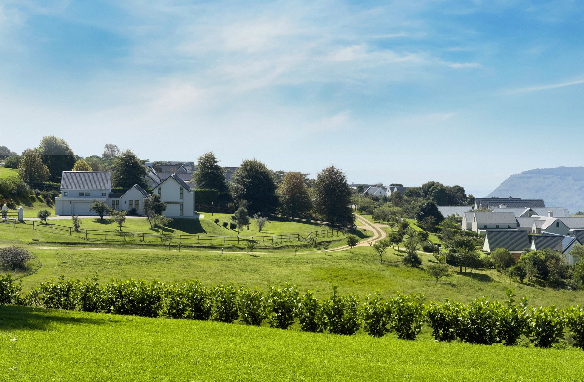 A peaceful countryside neighborhood with modern houses and lush greenery.