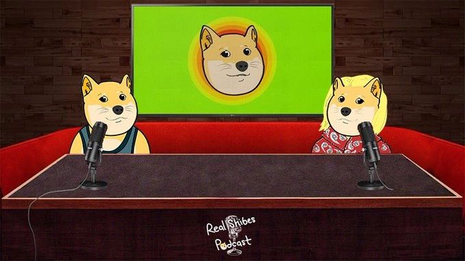 Doge Broadcast Network