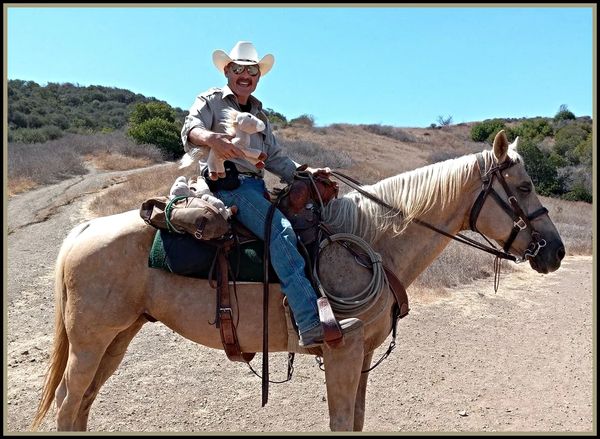 Man in cowboy attire on horseback holding a plush horse toy.