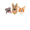 Ski Ski Pets