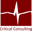 Critical Consulting