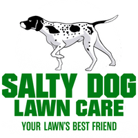Salty Dog Lawn Care and Landscaping 
