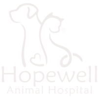 Comprehensive Veterinary Services