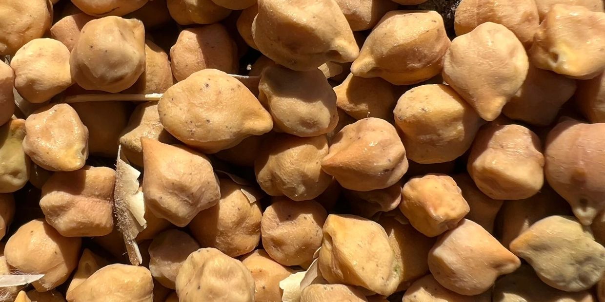 Close-up of dried chickpeas piled together.
