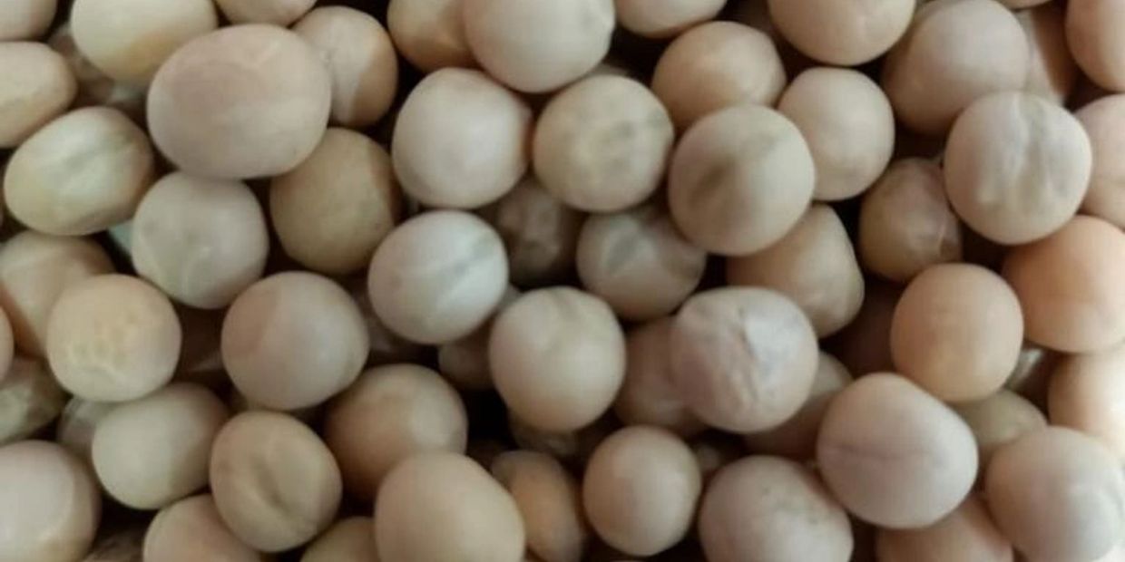 Close-up of beige-colored dried peas or seeds clustered together.