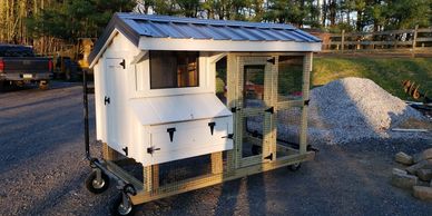 Chicken Coop