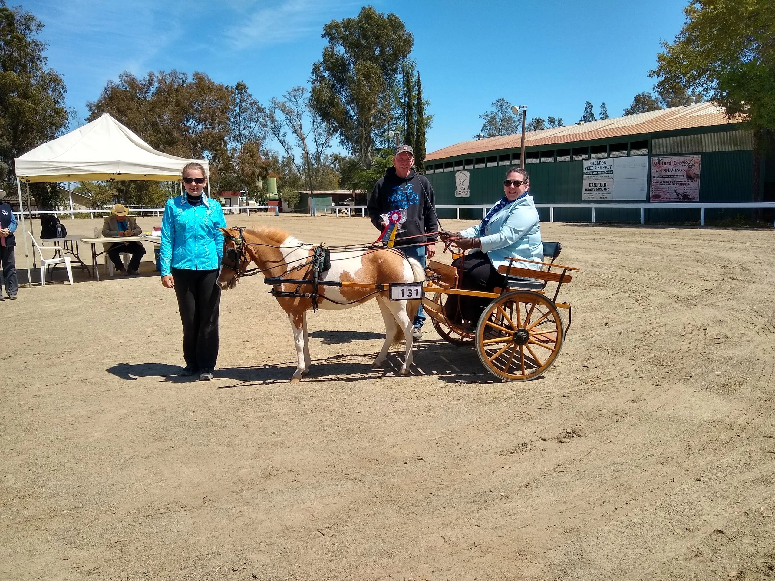Congratulations to April Todd and EE Rads Emerald Envy in their win of the Carriage Hi Point