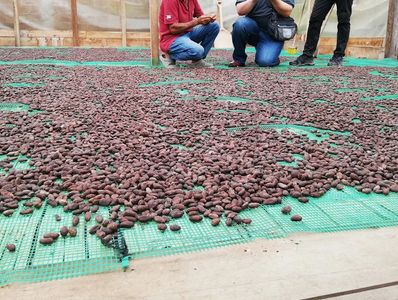 南米 コロンビア 商業リサーチ