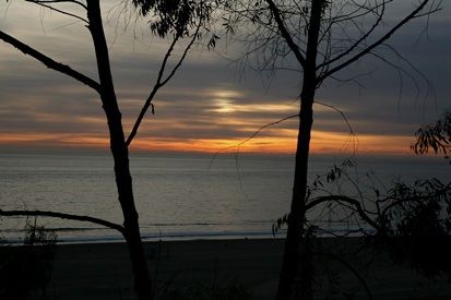 Sunset over the ocean, with silhouetted trees framing the colorful sky and calm water