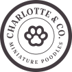 Charlotte & Co. 
Miniature Poodles