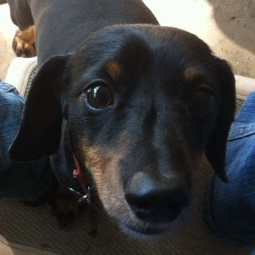 Charlie