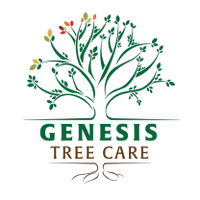 Genesis Tree Care