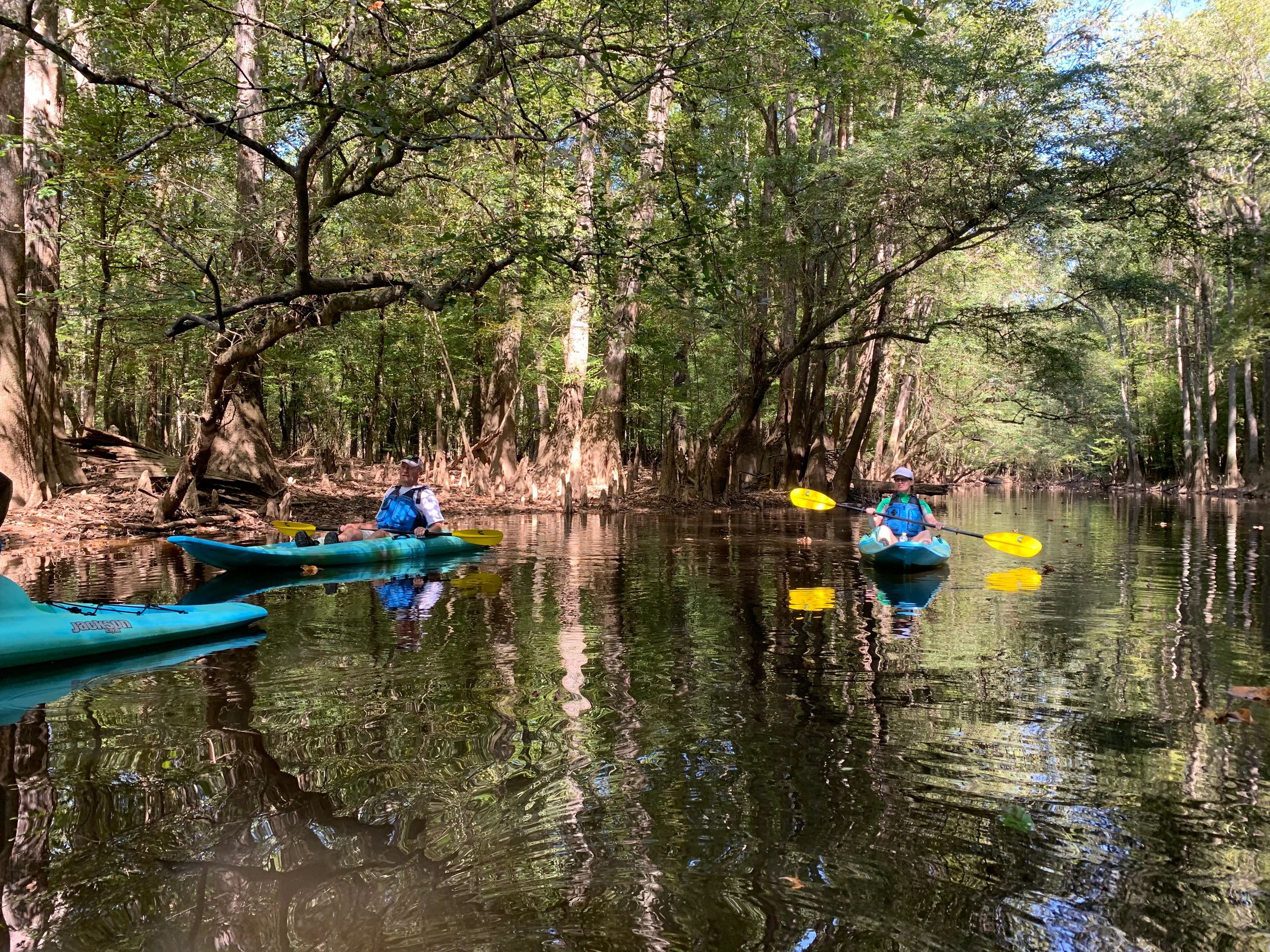 Congaree National Park