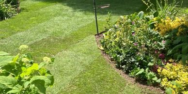 Garden Maintenance