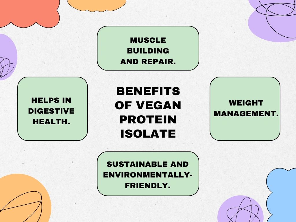 Benefits of vegan protein isolate.