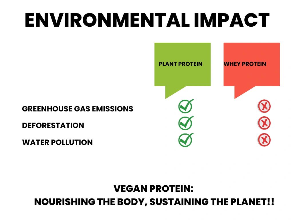 Comparison of Environmental impact between Plant Protein and Whey Protein/