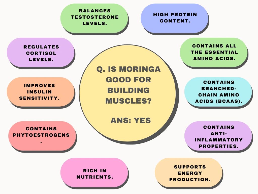 Moringa helps in building muscles.