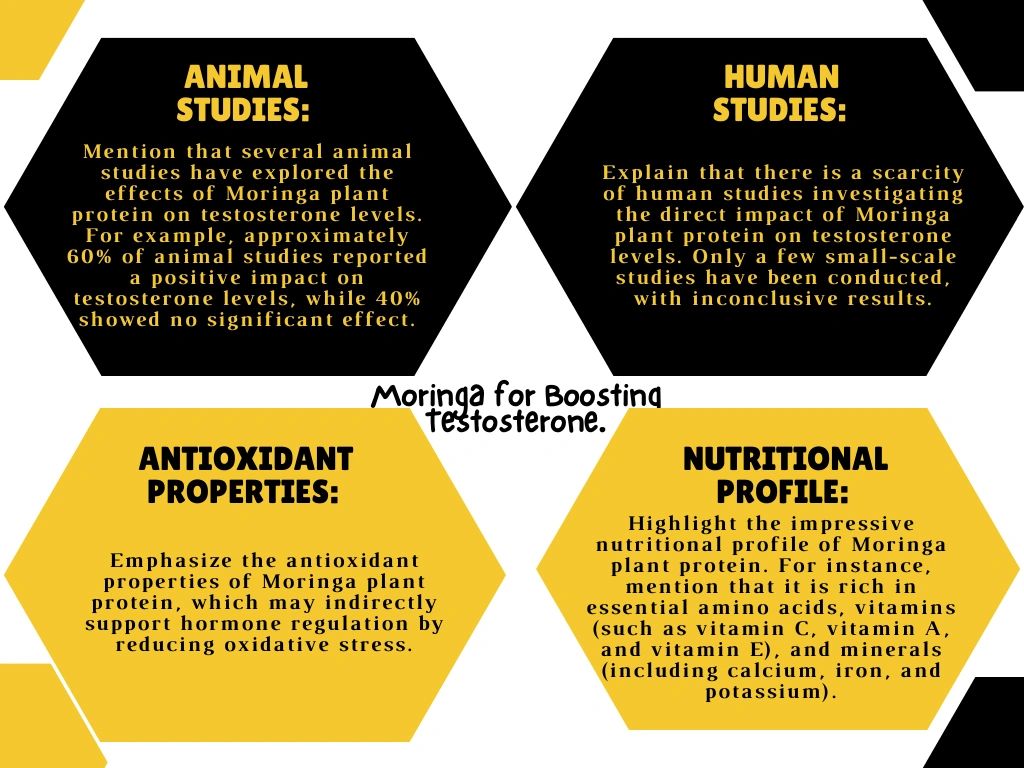 Moringa For Testosterone.