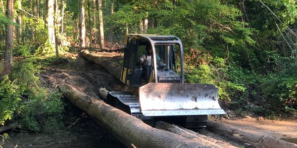 Bulldozer on log bridge at Trumbull County Hardwoods.Experienced timber buyer in Middlefield, Ohio 