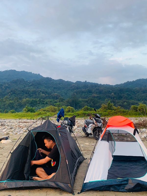 wildlife to tent life